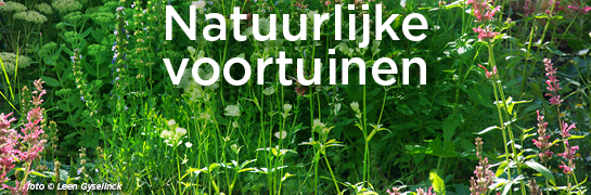 Natuurlijke voortuinen - www.limburgnatuurlijk.be